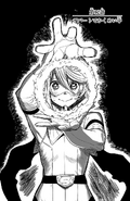 Chapter 12