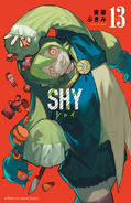 Volume 13