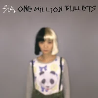 "One Million Bullets"