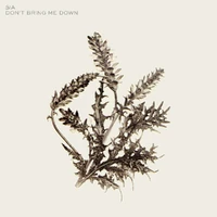 "Don't Bring Me Down"