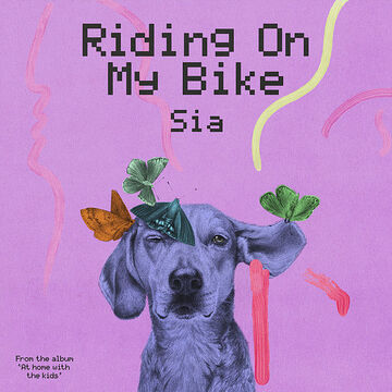 Ride my bike at home shop