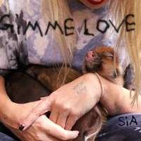 "Gimme Love"