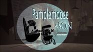 Pamplemoose and Son