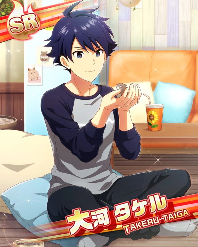 타이가 타케루 대사 목록 21년 Sidem Ko 위키 Fandom