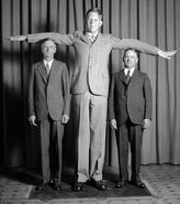 Wadlow13