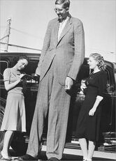 Wadlow1