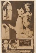 Laurellos-pets-postcard