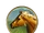Chevaux (Civilization V)