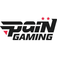 PaiN Gaminglogo square