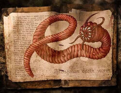 Mongolian-death-worm