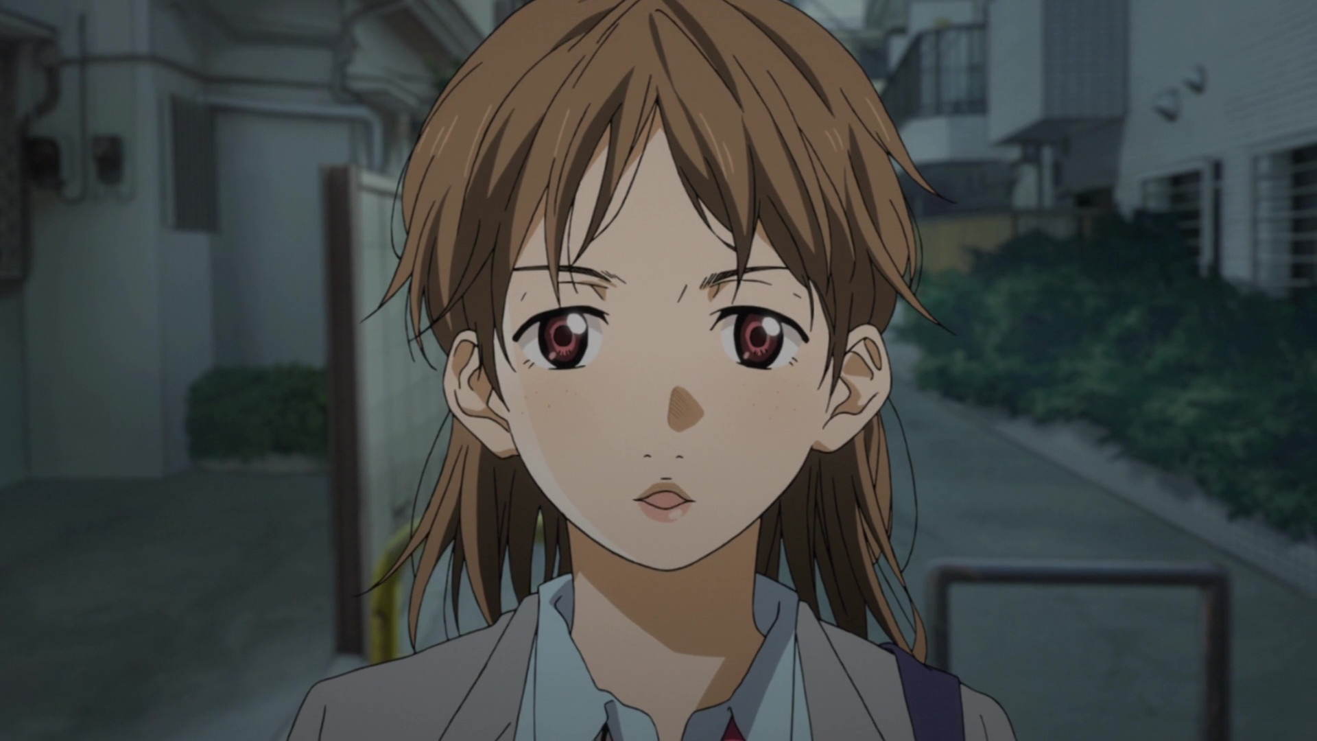 柏木 四月は君の嘘 Wiki Fandom 柏木 四月は君の嘘 Wiki Fandom