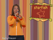 Starfish zt