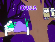 Owl abcsis