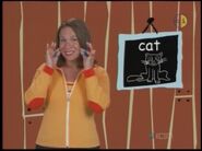 Remember cat? You show the cat's whiskers.