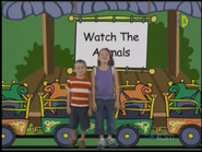 Watch the animals zoo