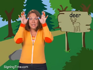 Deer tgo