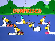 Duck surprise