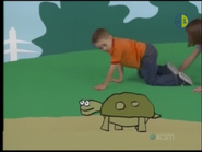 Turtle lf