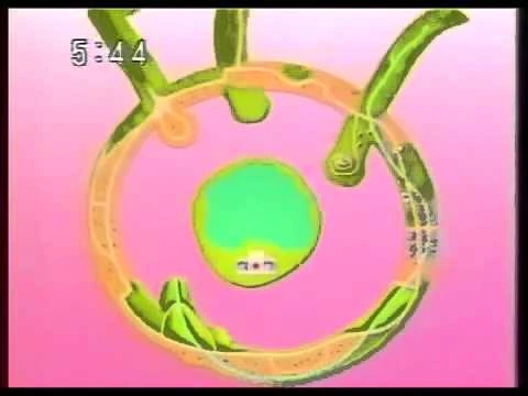 Fuji Television Startup And Closedown Signons And Signoffs Wiki Fandom