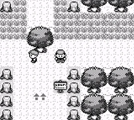 Viridian Forest