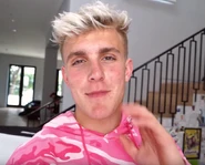 "blessed picture of jake paul.png"