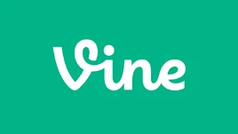 Vine