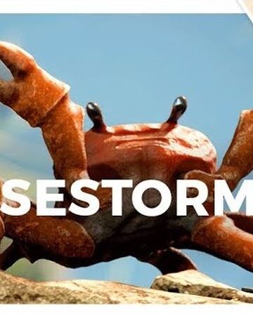 Crab Rave Siivagunner Wiki Fandom