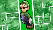 Luigi SSB 3DS