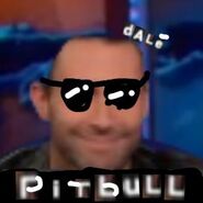 Pitbull (2)