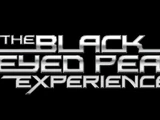 I Gotta Feeling - The Black Eyed Peas Experience