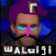 "waluigi.jpg"