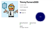 TimmyTurnersDDD profile page