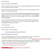 The screenshot posted in SiIvaGunner's tweet, showing YouTube's email and SiIvaGunner's response.