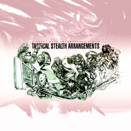 The background image used for SGFR-0005.