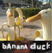 "bananaduck.png"