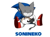 Slider (Secret Bonus Stage) - soniNeko