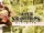 Jungle Level Jazz Style (for 3DS / Wii U) - Super Smash Bros. UItimate