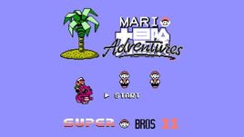 Super Bros. 11