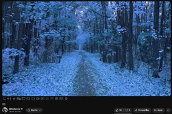 Chocobo Premiere Preview