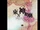 Desire Drive (OST Version) - Touhou 13: Ten Desires