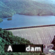 "a dam 2.png"