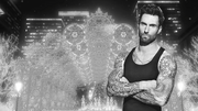 Snow Levine