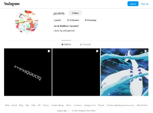 Screenshot of the Instagram page.