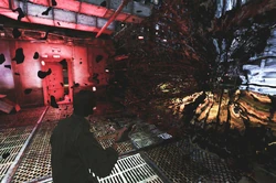 The Void in the Centennial Building.