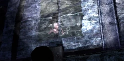 A Raw Shock taunts Harry from a window.