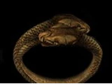 We, Ouroboros
