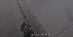 Maria asking James if he really wants to be with her in the "Maria" ending.