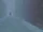 In the alley.jpg