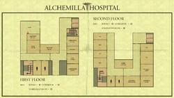 A map of Alchemilla Hospital.
