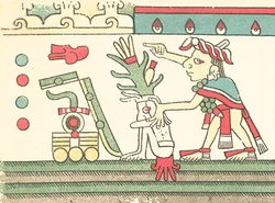 The unknown Aztec man in Codex Fejérváry-Mayer (right).